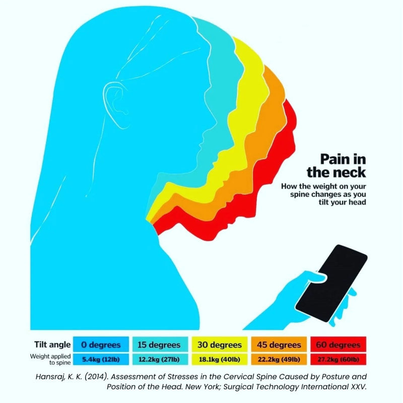 Cabeau Evolution X Travel Pillow