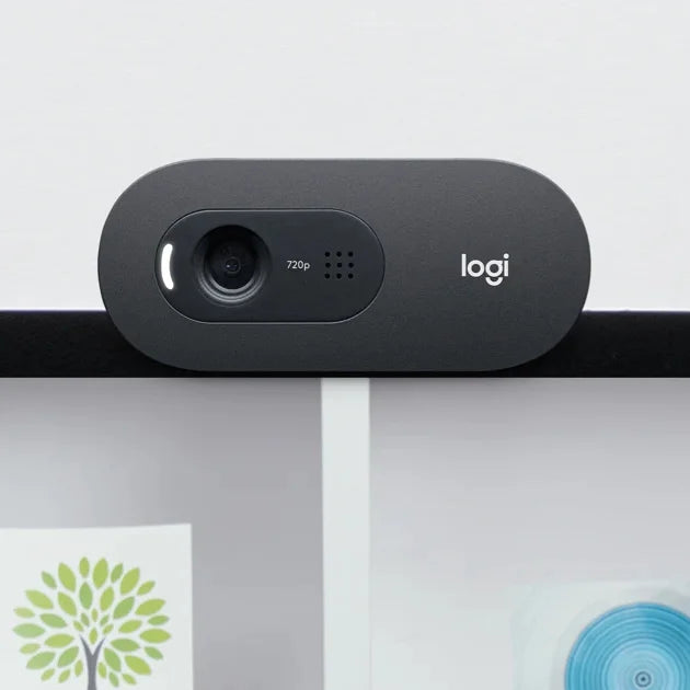 Logitech Webcam (C505E)